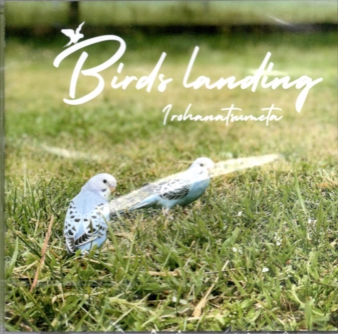 Bird landing.jpg